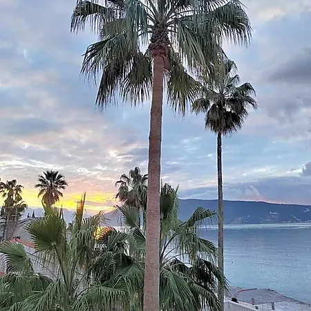 Hotel Hedonija 4*